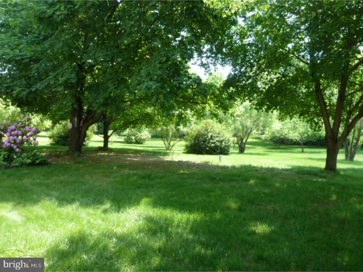 775 Spring Valley Road Doylestown, PA 18901 - Photo 22 of 24 Back Yard