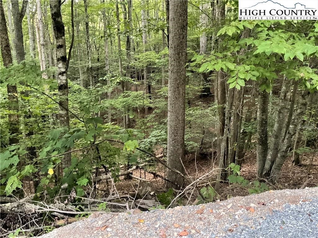 145 Raccoon Road Beech Mountain, NC 28604 - Photo 4 of 5