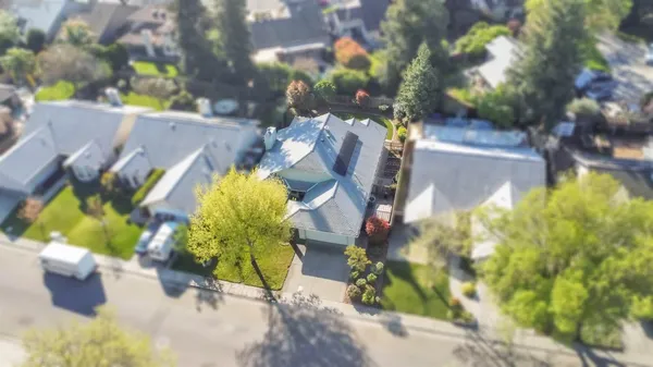 a view of a yard