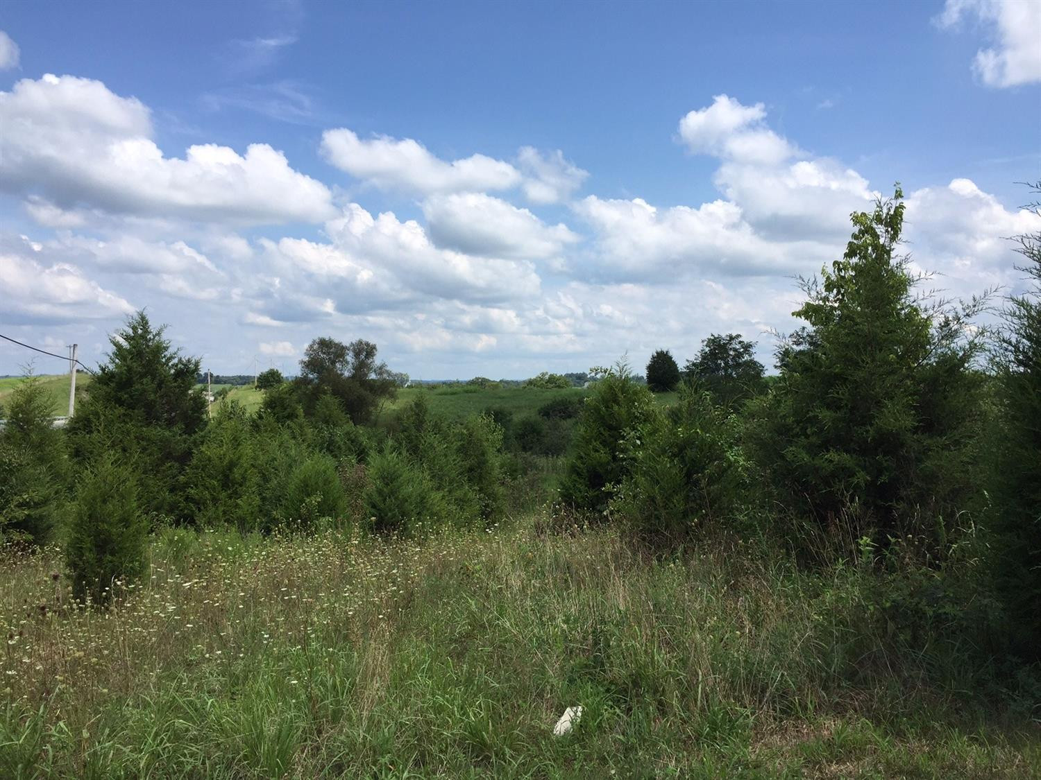 2 Cedar Ridge Road Stanford, KY 40484 - Photo 16 of 18 Photo 16