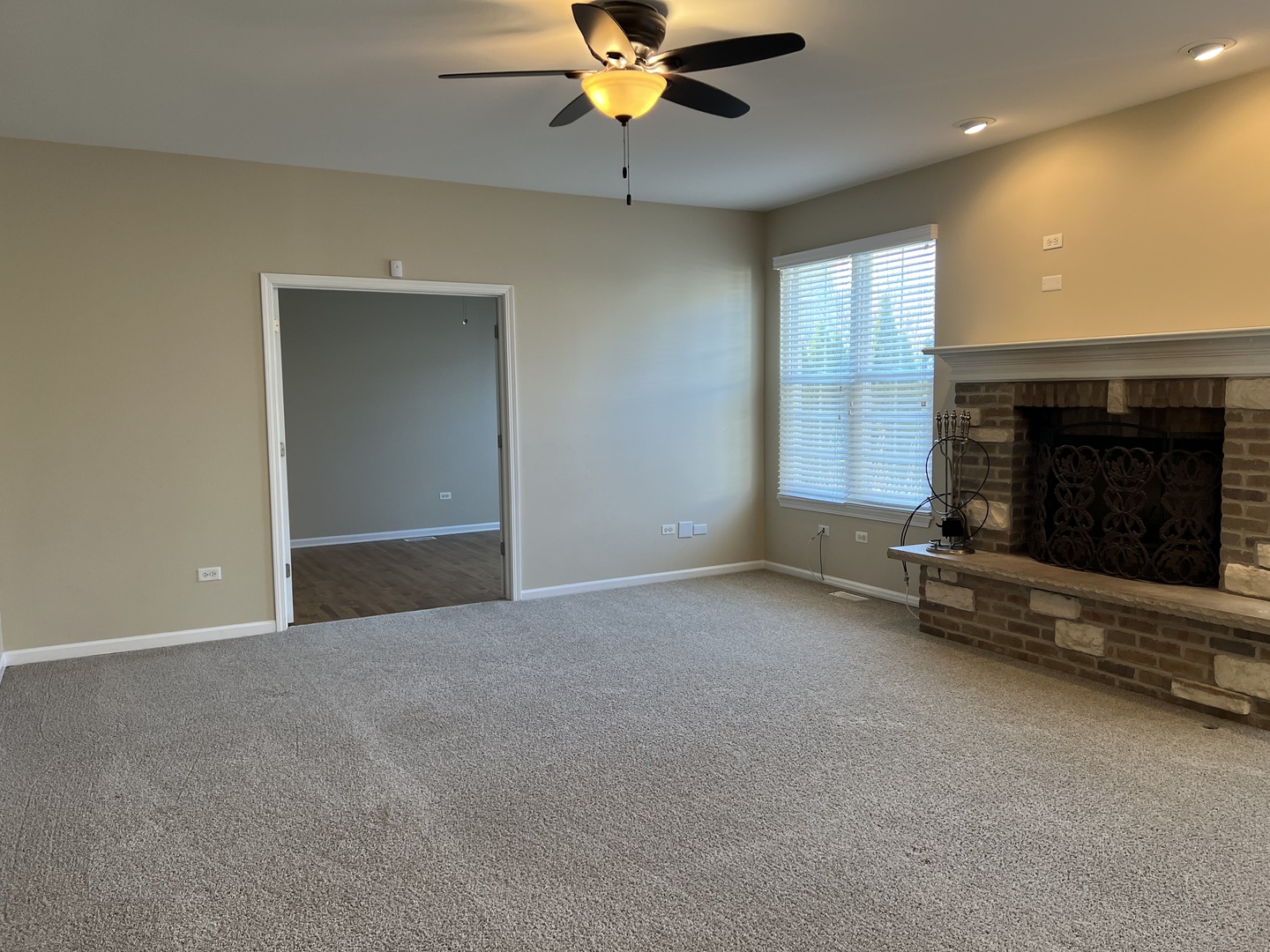 26112 Mapleview Drive Plainfield, IL 60585 - Photo 6 of 28 wooden floor fireplace and windows in a room