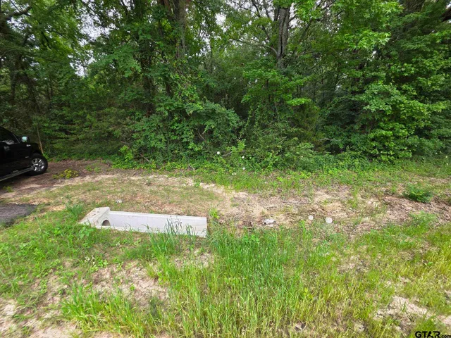 a view of yard with green space