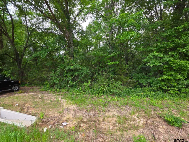 a view of backyard with green space