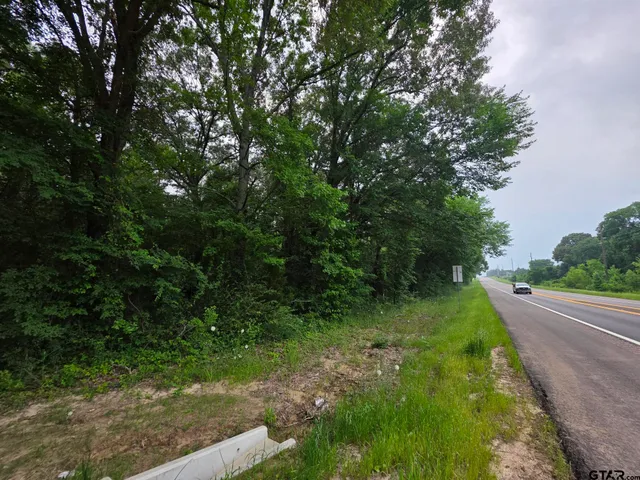 a big yard with lots of green space and deers