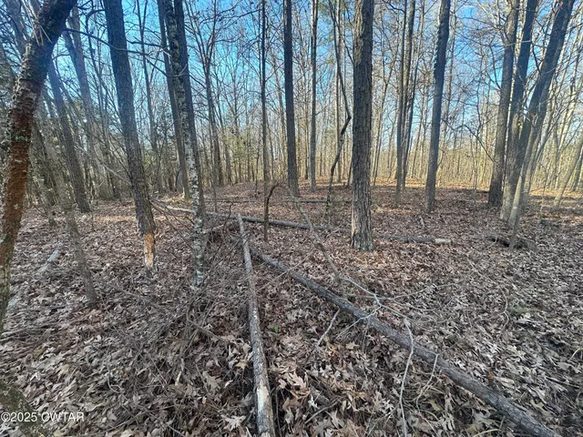 a view of a backyard with trees