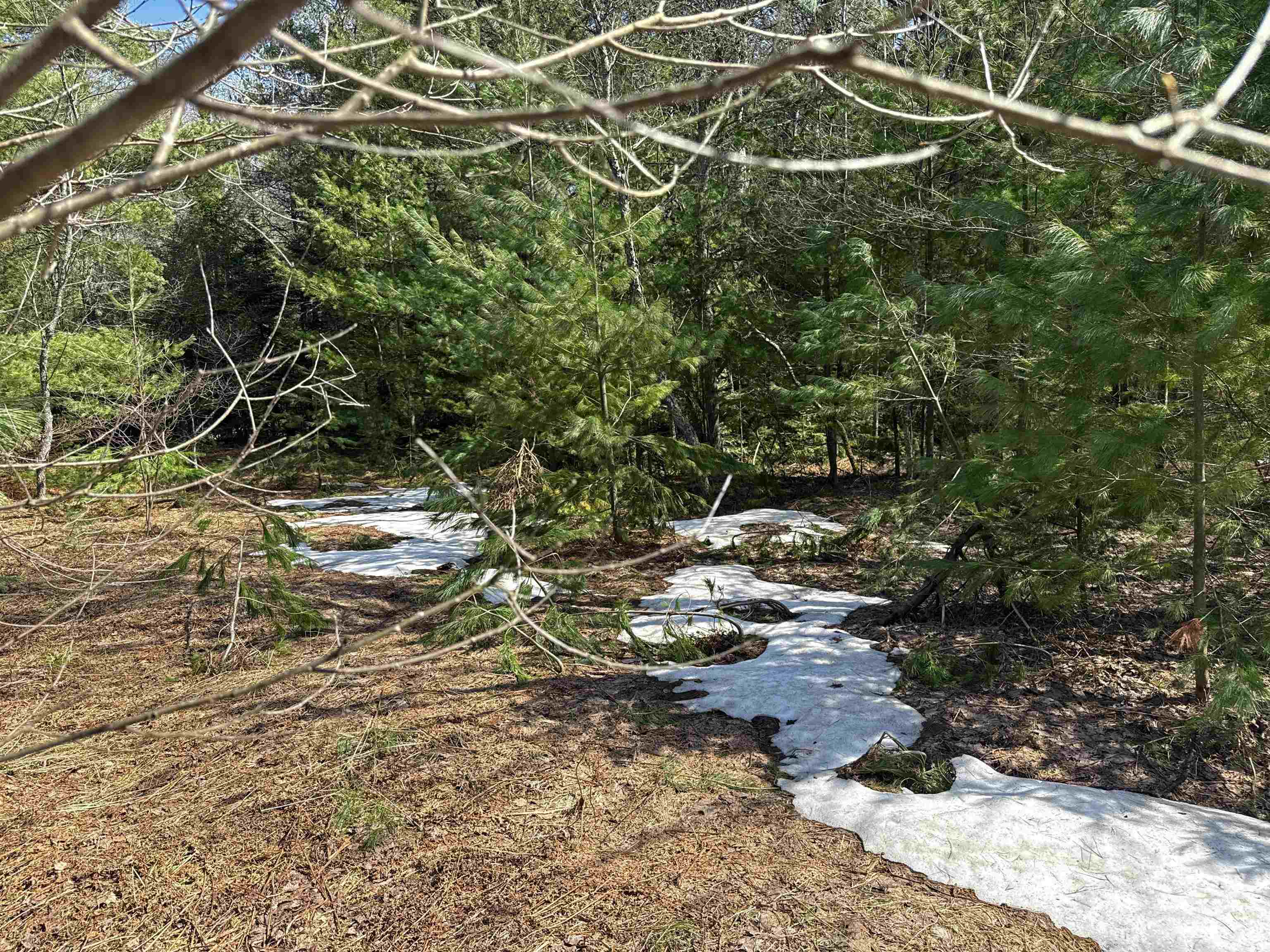 8324 Besaw Road Northeast Mancelona, MI 49659 - Photo 21 of 24 1932813-de727506-a5aa-4eb3-9286-169a9cbff9ae.JPG