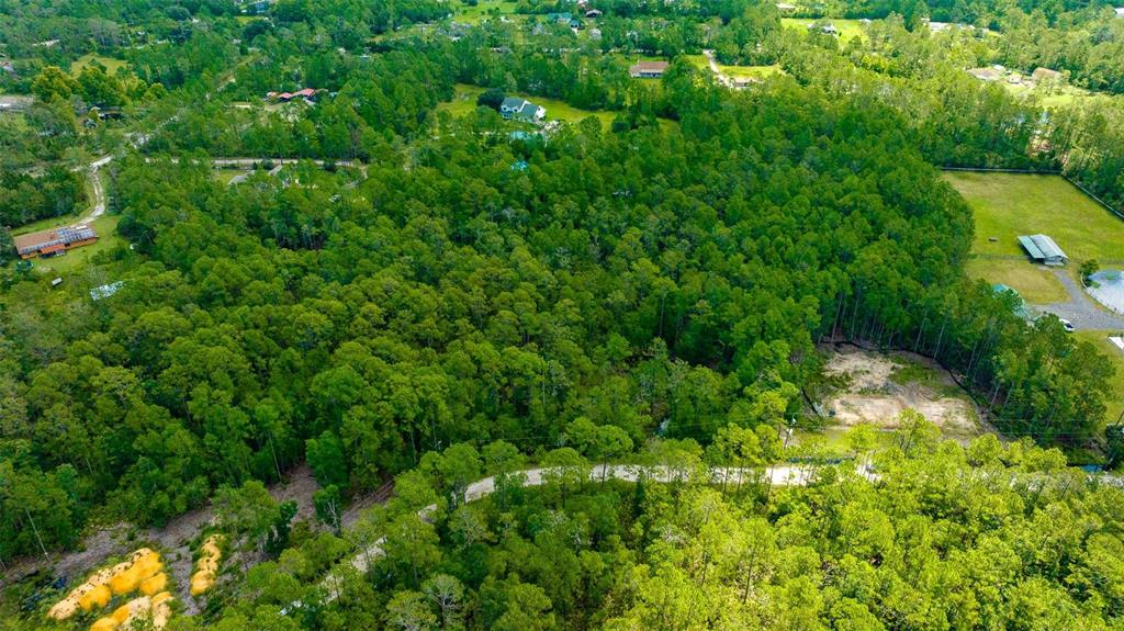 a view of a yard with a tree