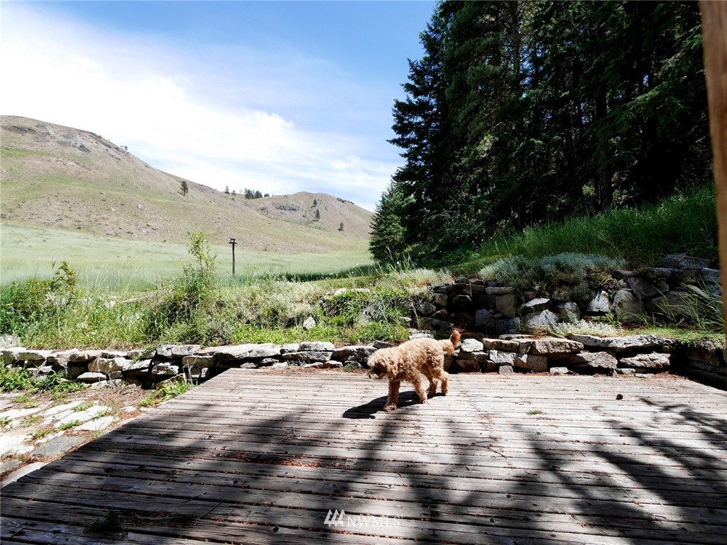 83 Davis Lake Road Winthrop, WA 98862 - Photo 22 of 24 Gallery Image 22