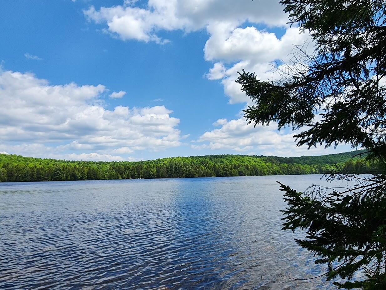 Lot A Lot A Deer Point Road Robbinston, ME 04671 - Photo 3 of 18 20250611_120624
