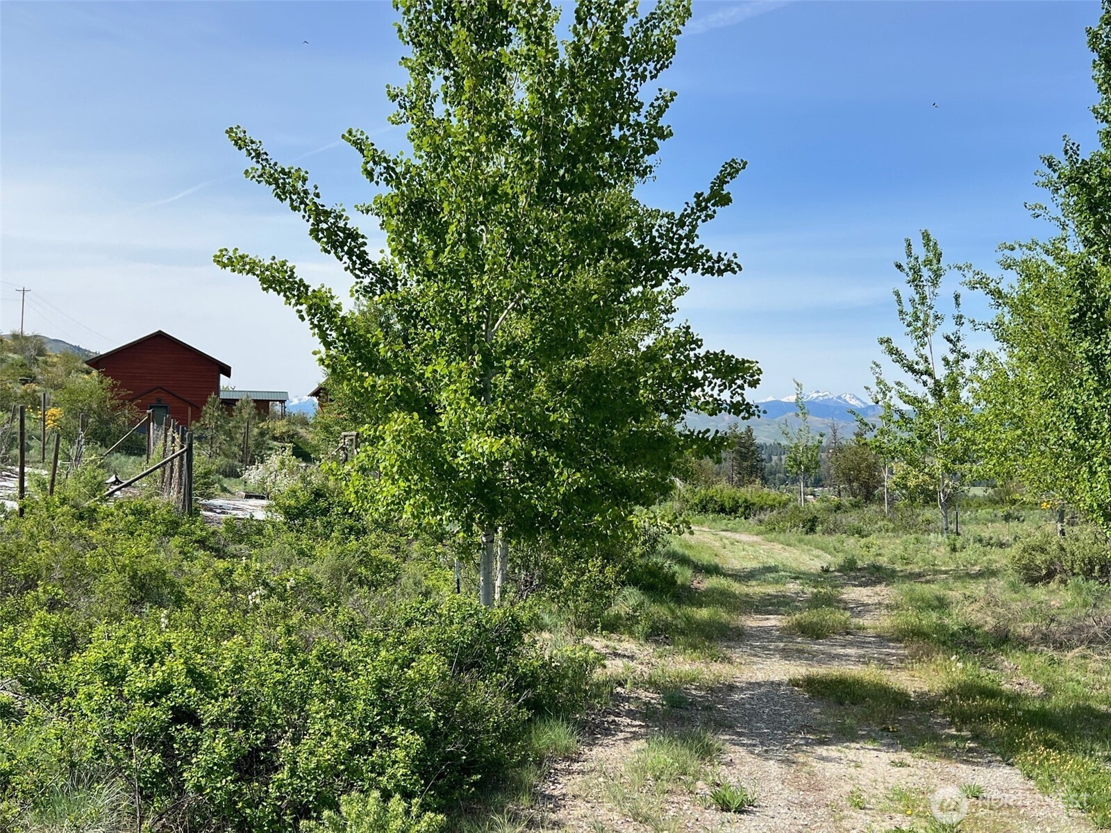 41 Red Tail Ridge Road Twisp, WA 98856 - Photo 13 of 39 Gallery Image 13