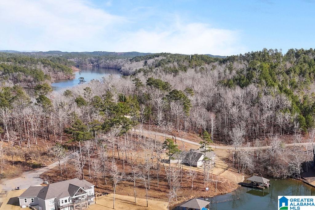 2147 Eagle Mountain Road, Unit 12 Rockford, AL 35136 - Photo 12 of 22