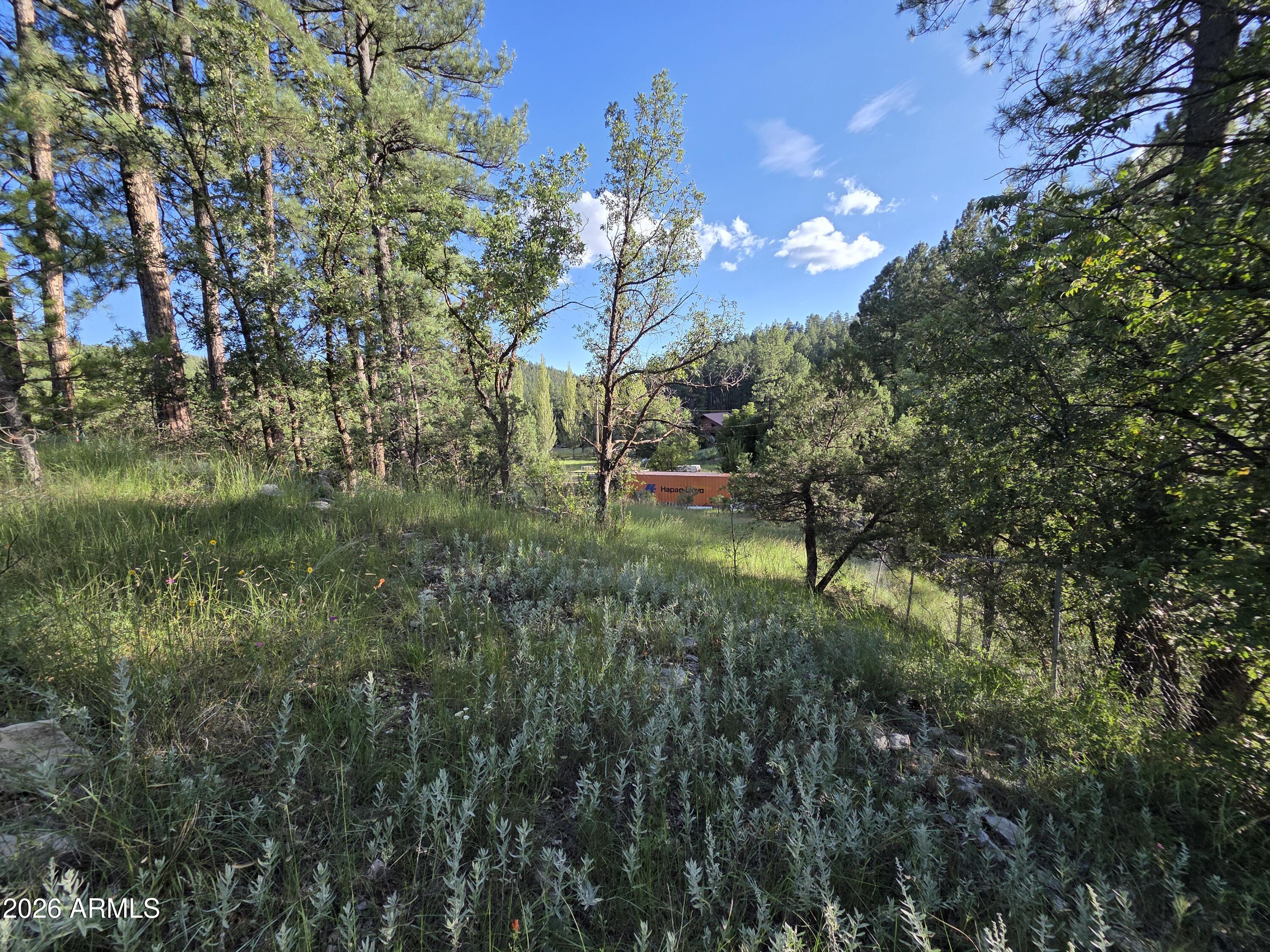 1248 Running Elk Road, Unit 88 Payson, AZ 85541 - Photo 11 of 20 20260905_172506