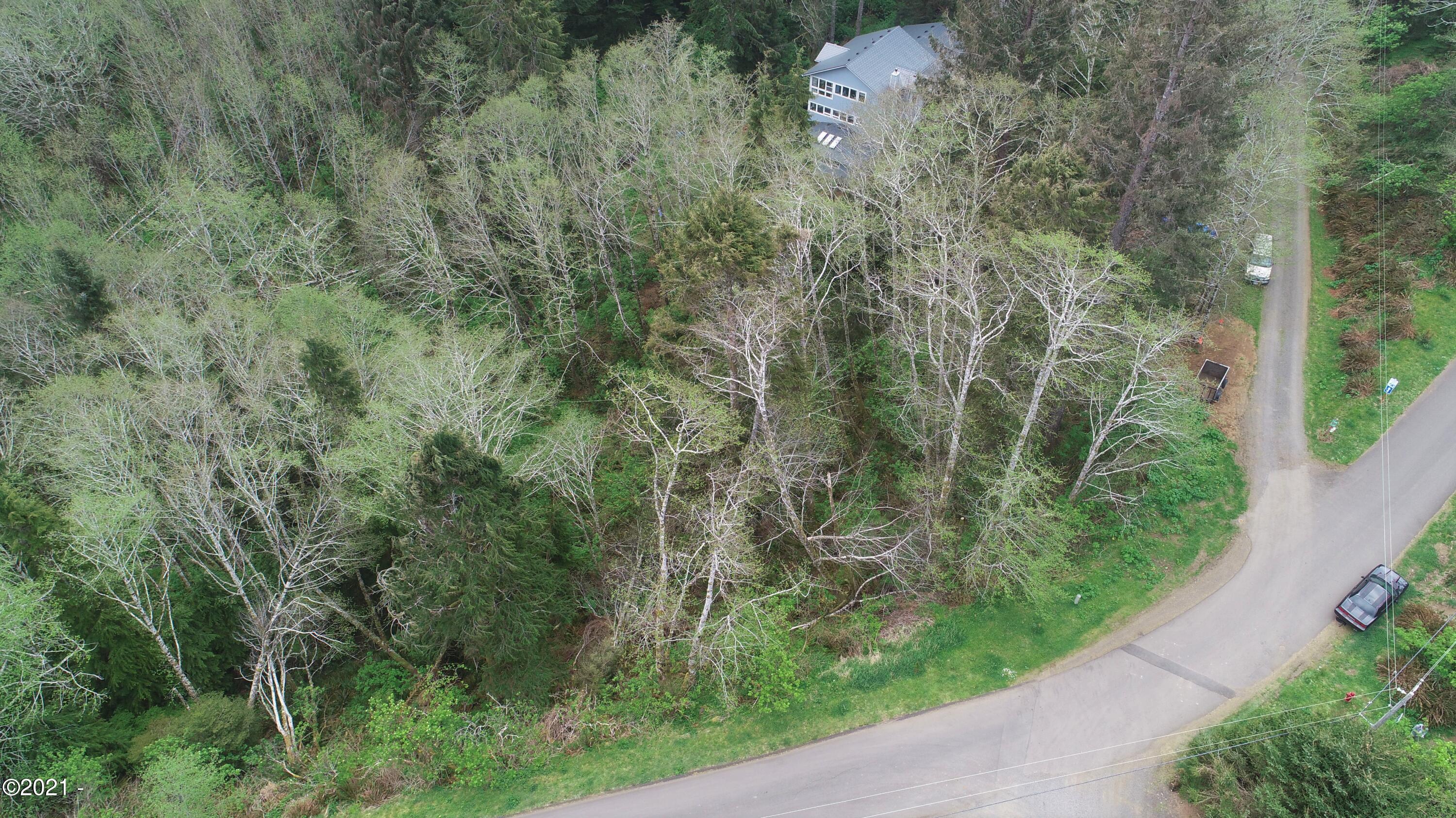 2500 South Beach Road Neskowin, OR 97149 - Photo 8 of 12 Trees