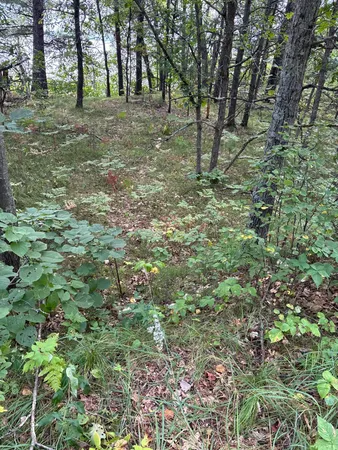 $39,900 | Lot 77 Airport Road, Breezy Point, MN 56472