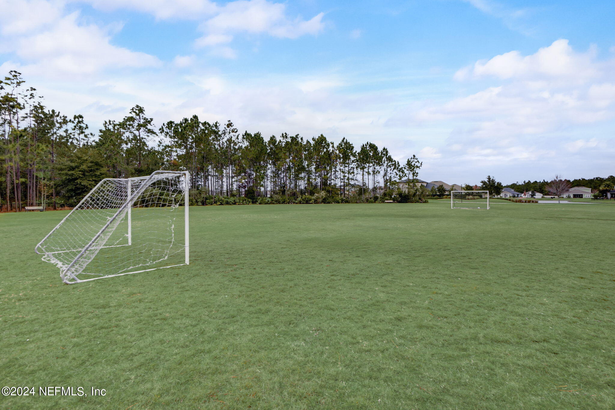 173 Azura Point St. Johns, FL 32259 - Photo 59 of 62 56-web-or-mls-Arella Way-056