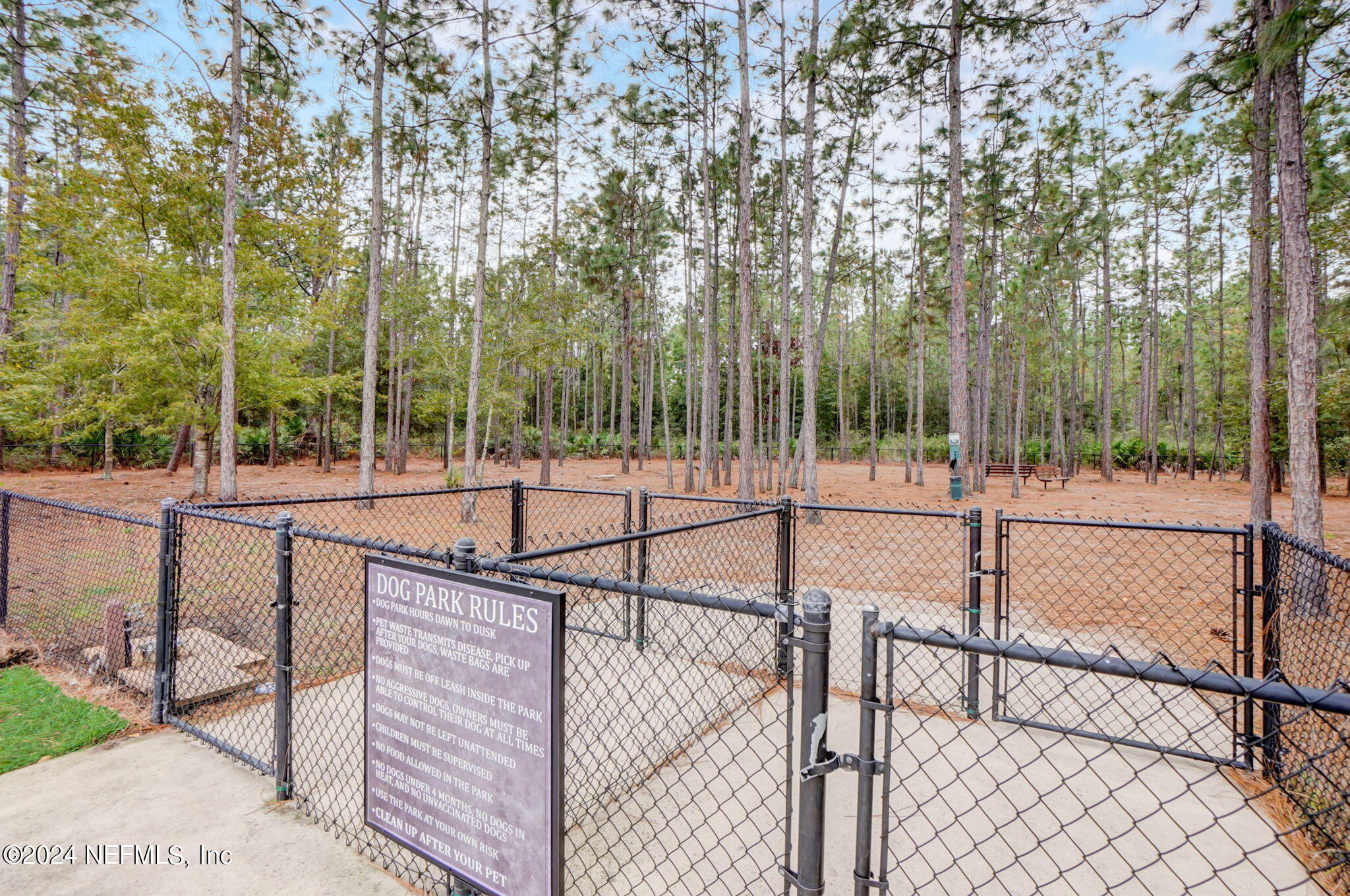 173 Azura Point St. Johns, FL 32259 - Photo 61 of 62 58-web-or-mls-Arella Way-058