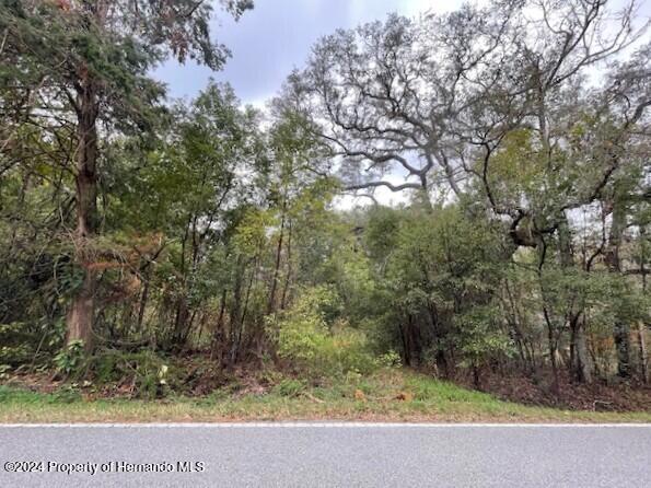 0 Mitchell Road Brooksville, FL 34601 - Photo 1 of 12