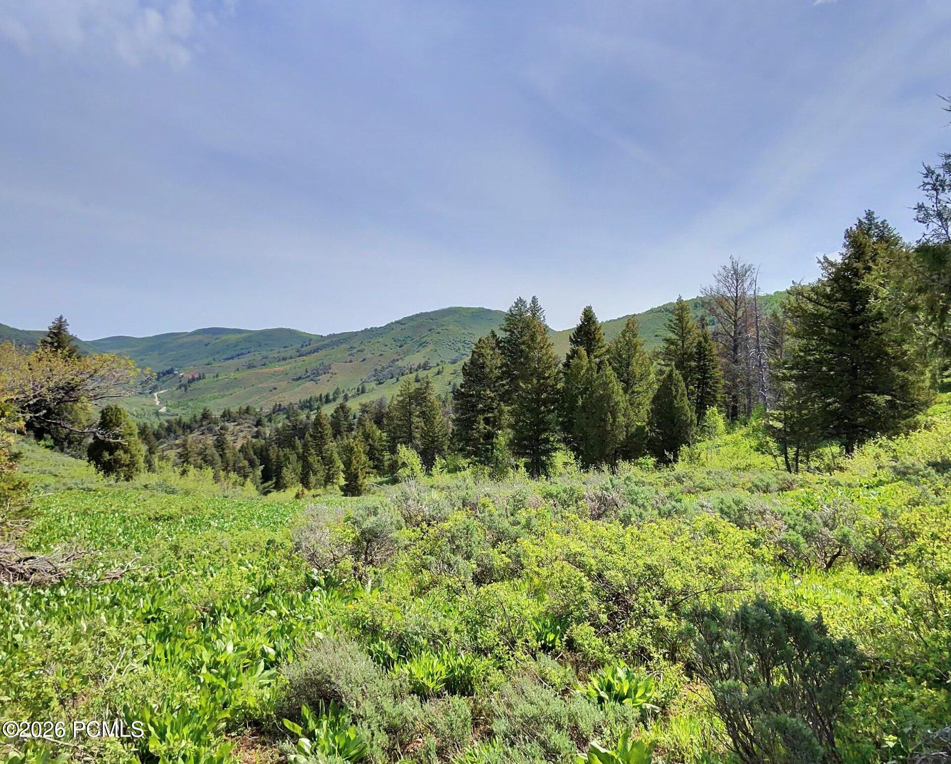 40 Sunridge Ranch Huntsville, UT 84317 - Photo 13 of 36 Gallery Image 13