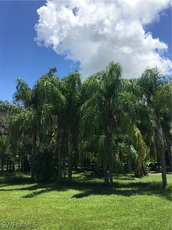 11731 Shawnee Road Fort Myers, FL 33913 - Photo 16 of 20 a view of a park