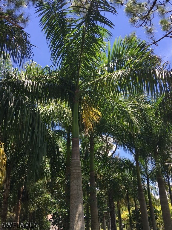 11731 Shawnee Road Fort Myers, FL 33913 - Photo 17 of 20 a plant that is in front of a building