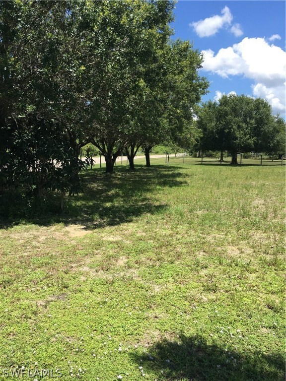 11731 Shawnee Road Fort Myers, FL 33913 - Photo 6 of 20 a view of backyard with green space