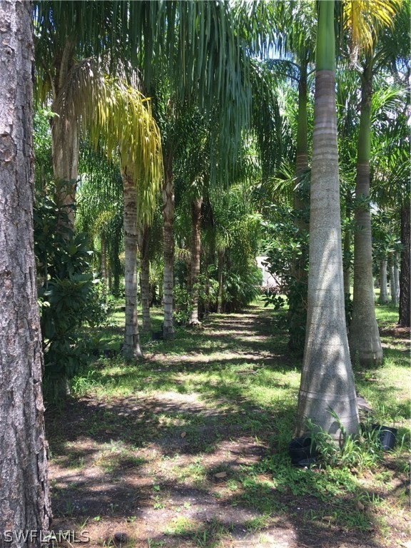 11731 Shawnee Road Fort Myers, FL 33913 - Photo 7 of 20 a view of a yard