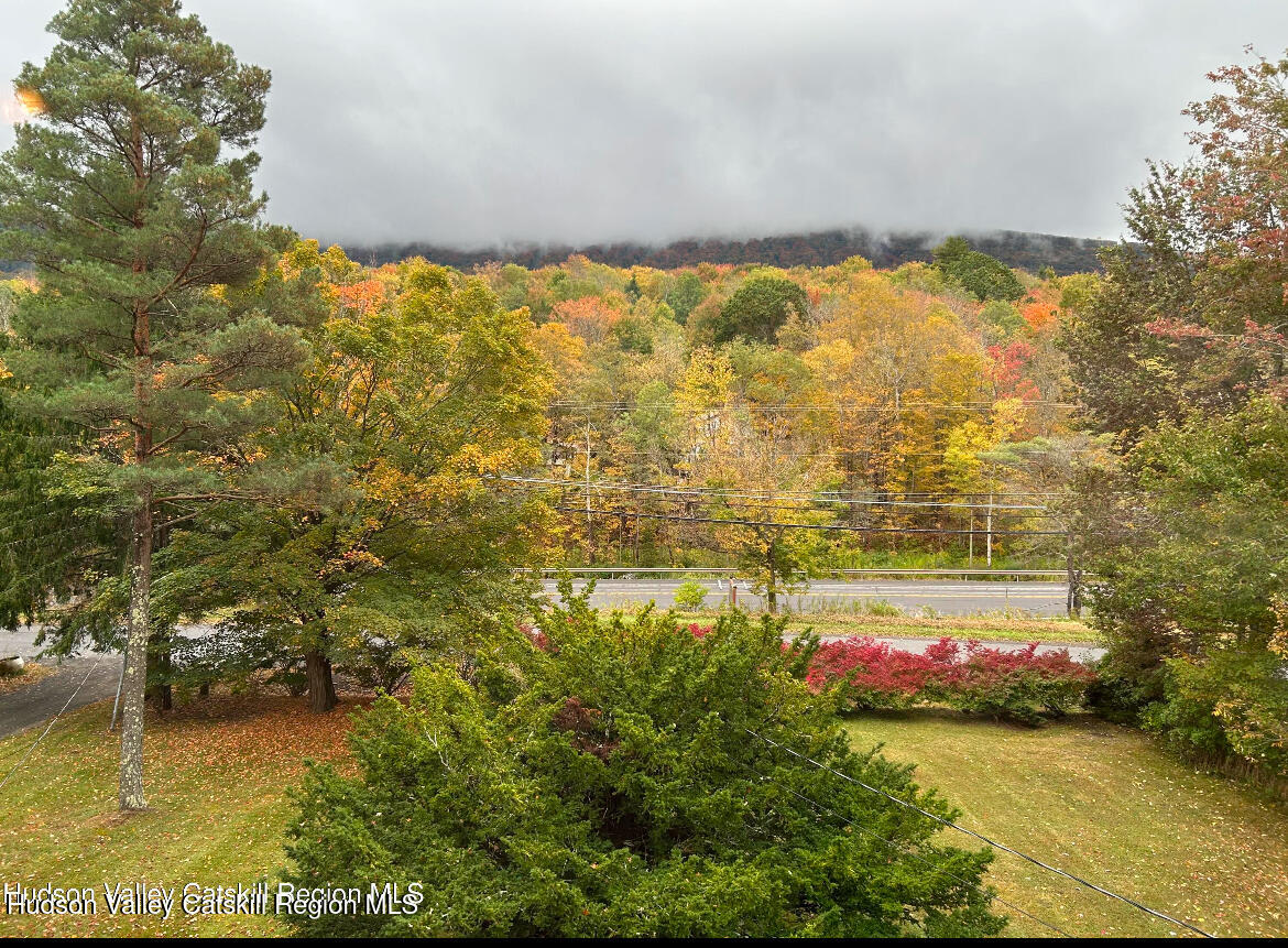 11 Highlands Road Pine Hill, NY 12465 - Photo 25 of 32 IMG_7363