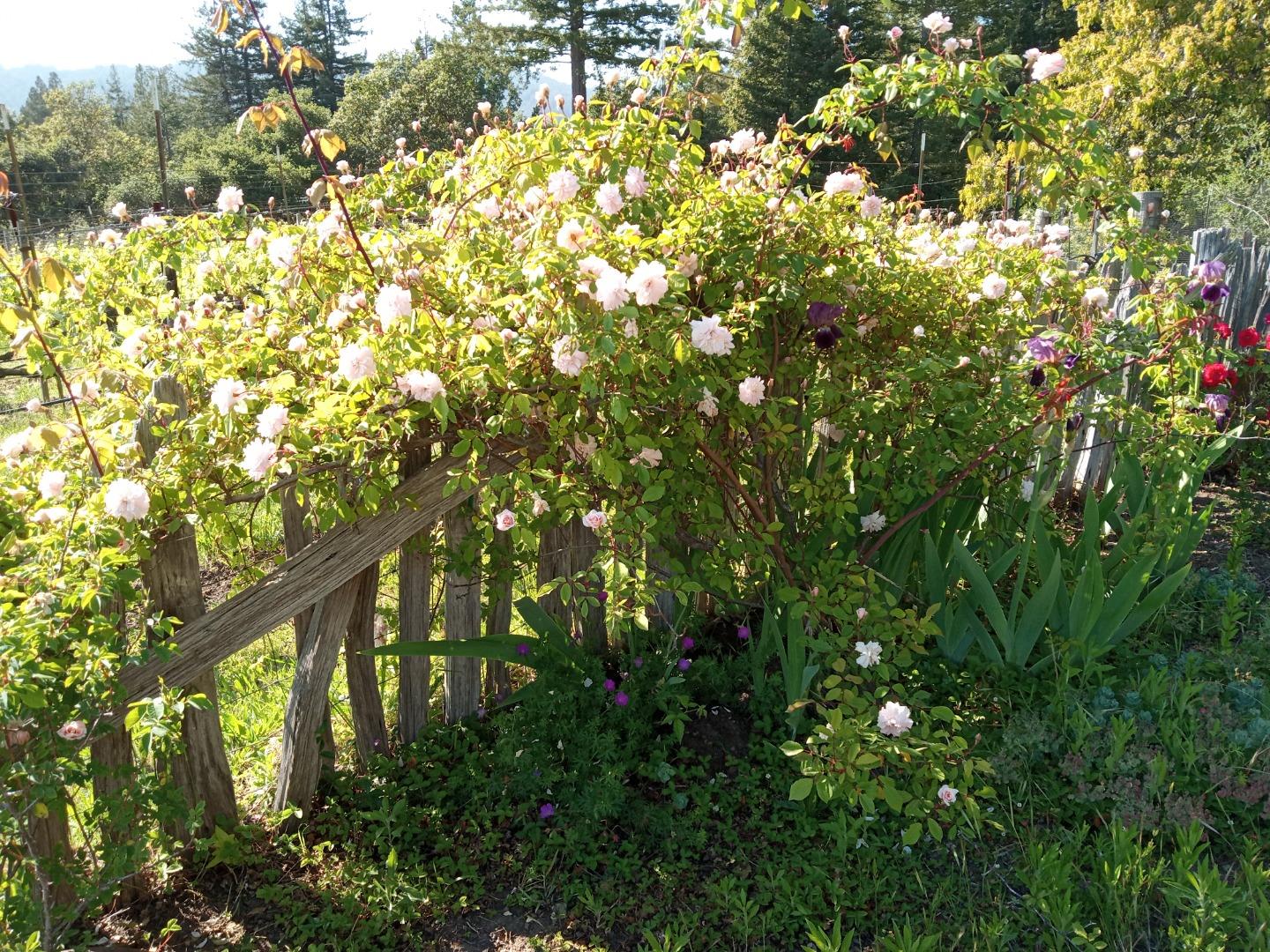 1580 Tindall Ranch Road Watsonville, CA 95076 - Photo 42 of 145 Gallery Image 42