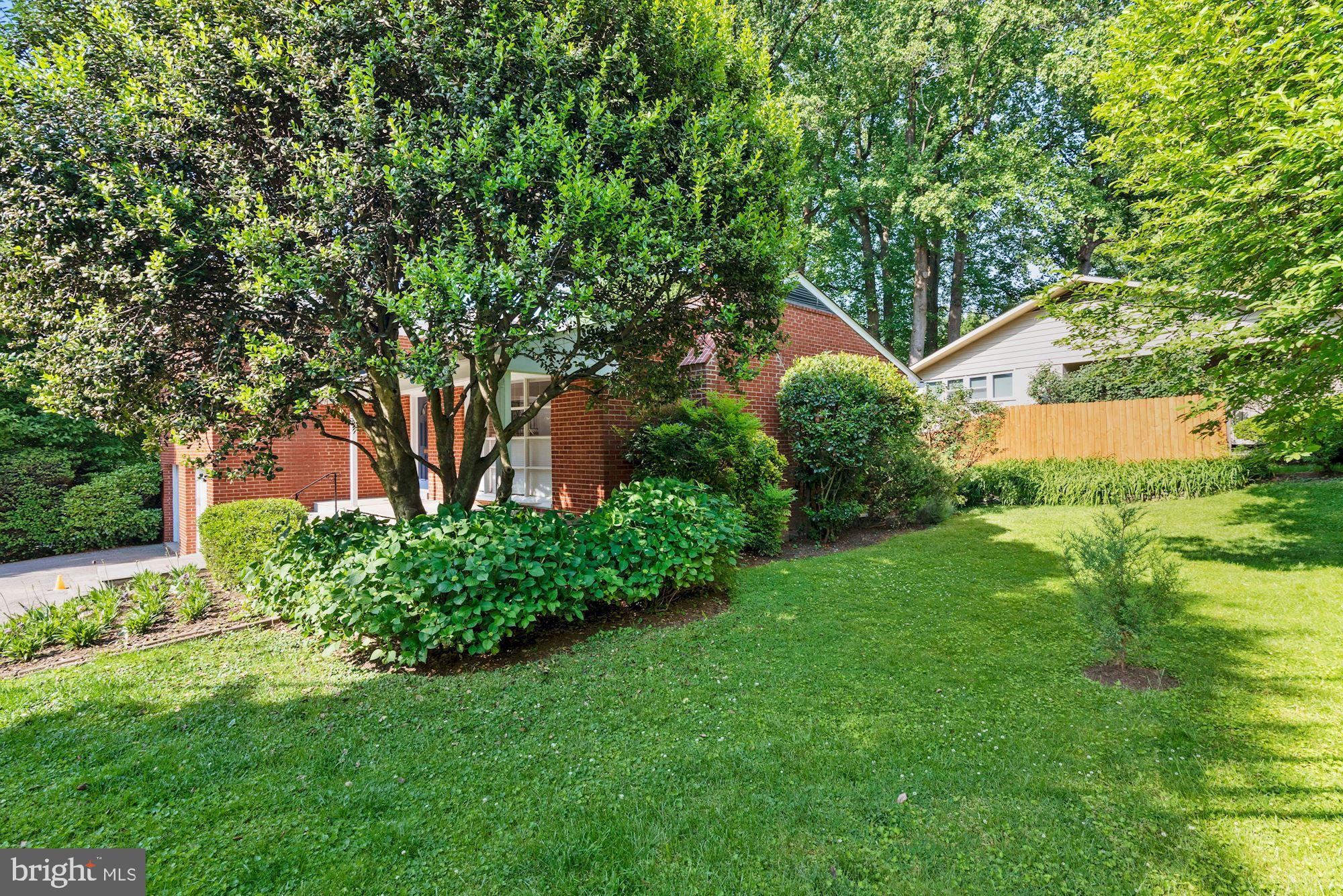 7721 Brookville Road Chevy Chase, MD 20815 - Photo 28 of 30 Big, south-facing level yard