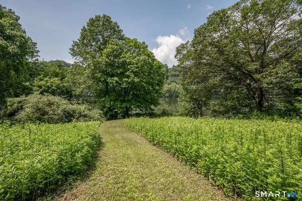 a view of a green field with lots of bushes