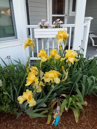 $550,000 | 3 Strawberry Lane, Unit A, Hudson, MA 01749