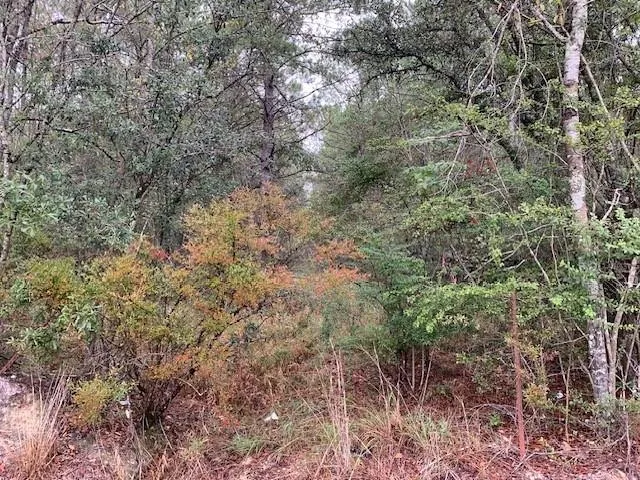 $83,900 | 445 Highway 445 Highway, Robert, LA 70455