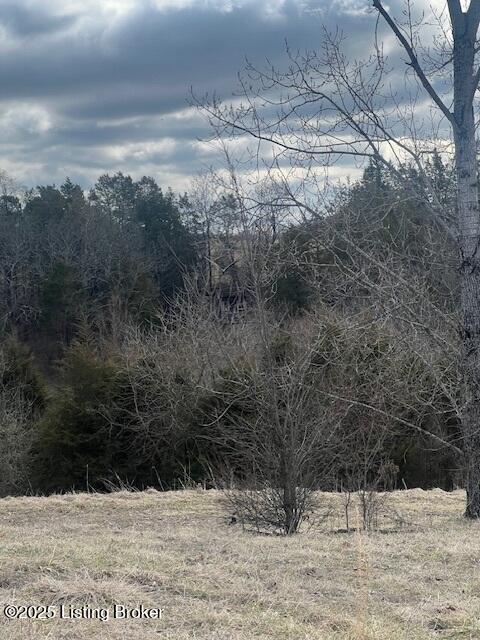 1180 D Pattons Creek Road Pendleton, KY 40055 - Photo 3 of 8 image001