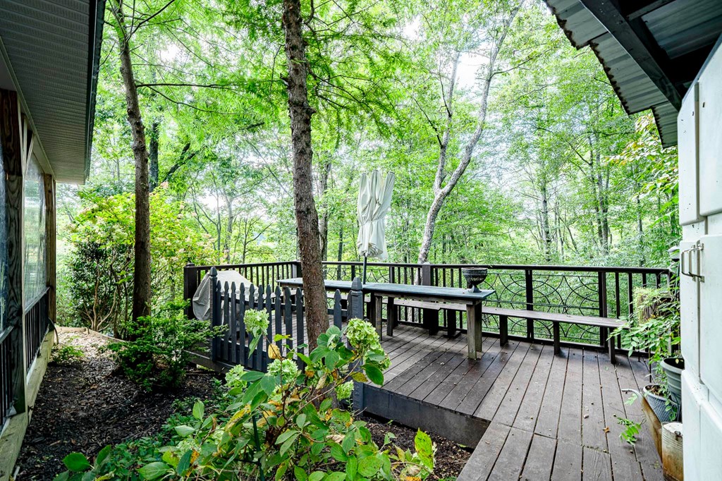 540 Young Cane Creek Road Blairsville, GA 30512 - Photo 39 of 72