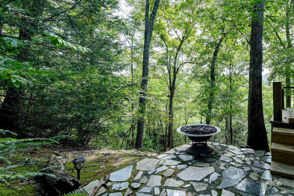 540 Young Cane Creek Road Blairsville, GA 30512 - Photo 61 of 72