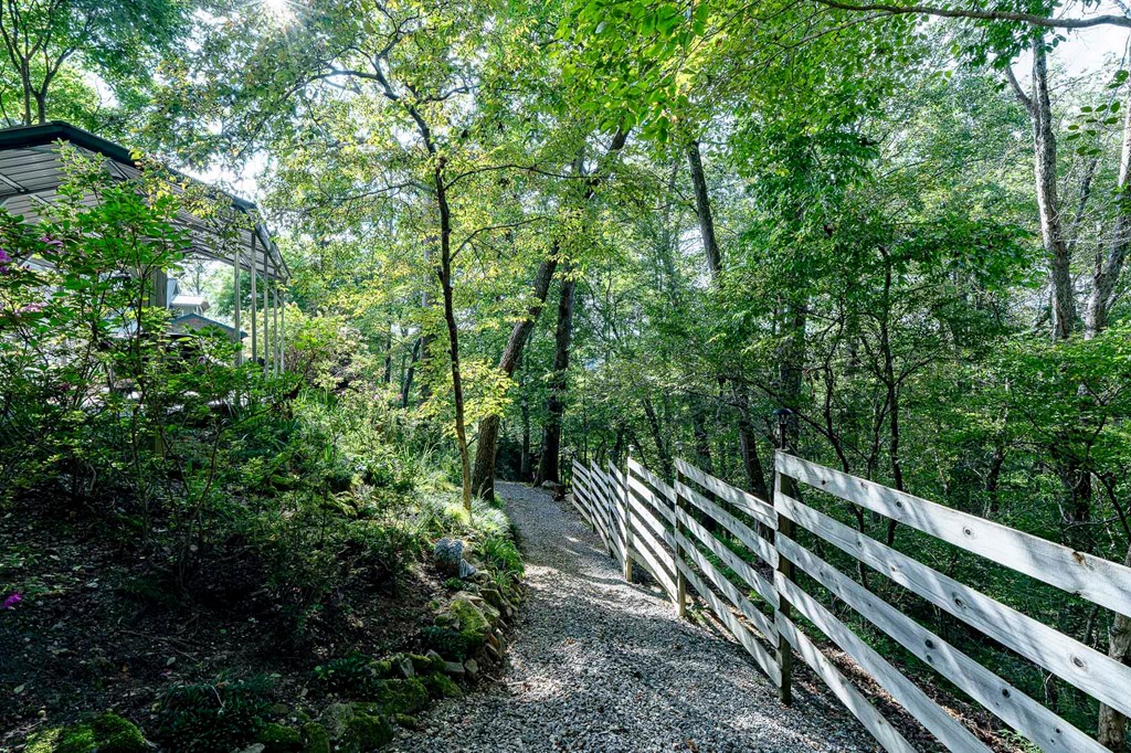 540 Young Cane Creek Road Blairsville, GA 30512 - Photo 62 of 72