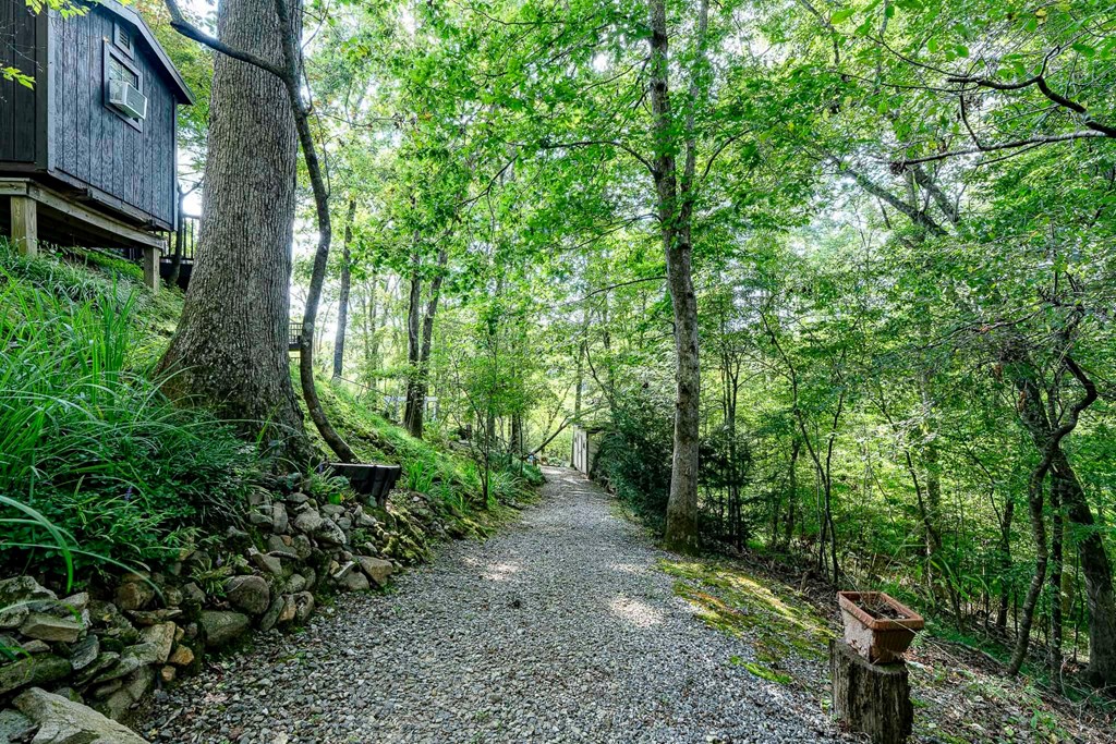 540 Young Cane Creek Road Blairsville, GA 30512 - Photo 63 of 72