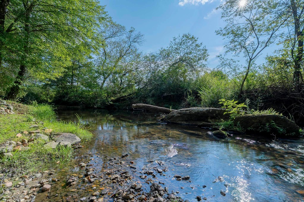 540 Young Cane Creek Road Blairsville, GA 30512 - Photo 67 of 72