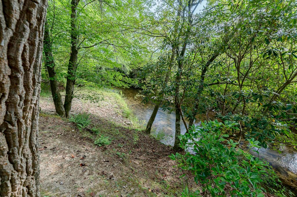 540 Young Cane Creek Road Blairsville, GA 30512 - Photo 68 of 72