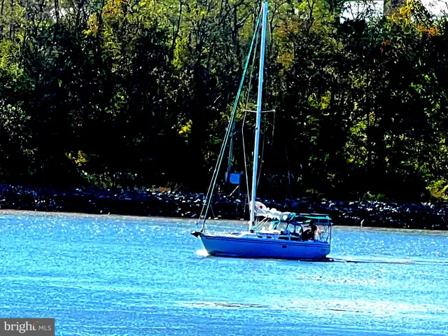 a view of a fountain with trees in the background