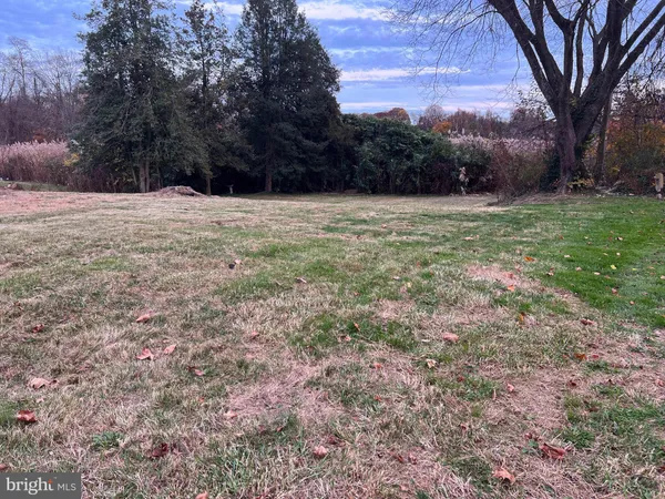 a view of a field with an trees