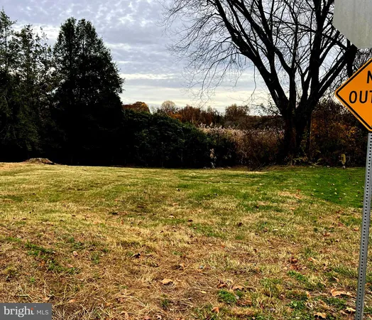 a view of a yard with plants and trees