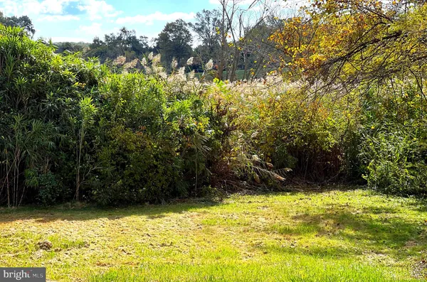 a view of a city with tall building