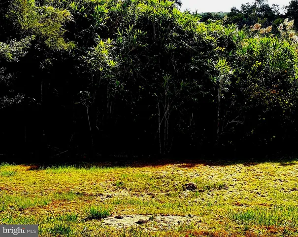 a view of a yard with wooden fence