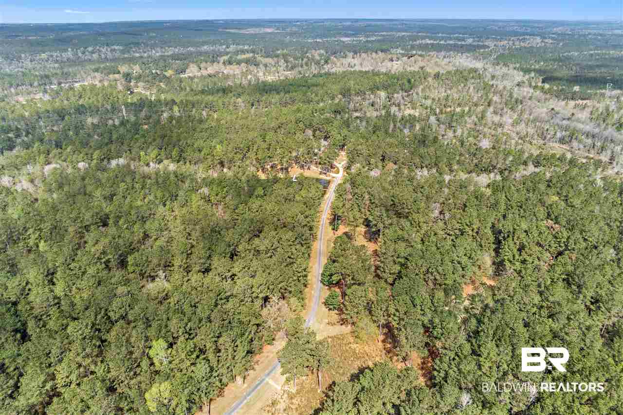 220 B Creax Road Axis, AL 36505 - Photo 48 of 49