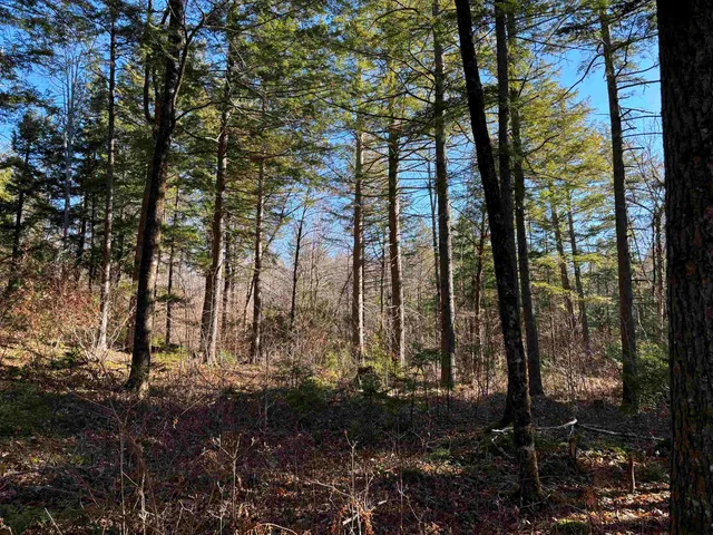 $430,000 | 481 Chocorua Mountain Highway, Tamworth, NH 03817