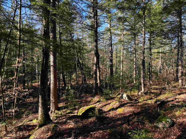 $430,000 | 481 Chocorua Mountain Highway, Tamworth, NH 03817