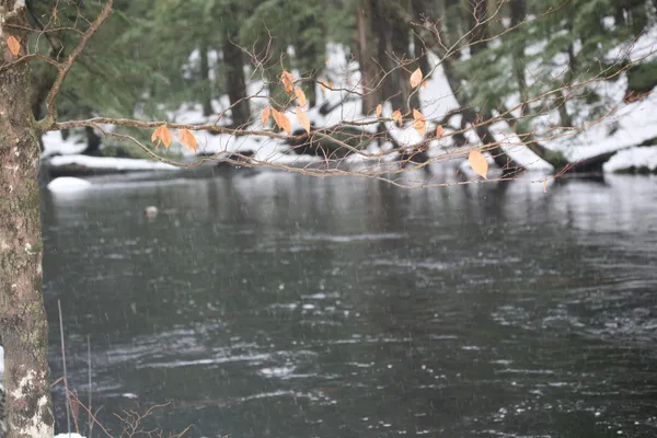 $430,000 | 481 Chocorua Mountain Highway, Tamworth, NH 03817