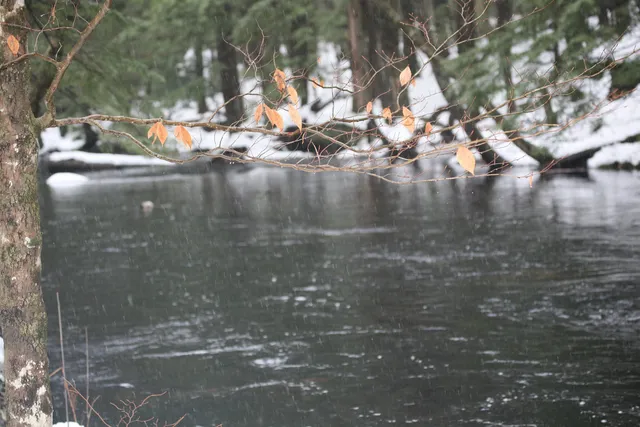 $430,000 | 481 Chocorua Mountain Highway, Tamworth, NH 03817