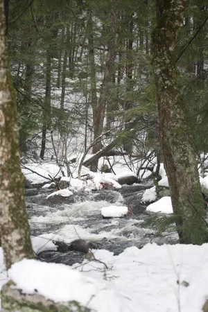 $430,000 | 481 Chocorua Mountain Highway, Tamworth, NH 03817